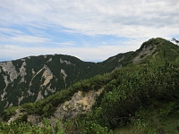 Gipfelregion