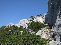 Felsen am Weg