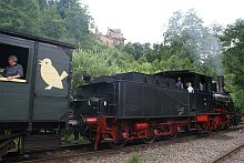 Kuckucksbhnel mit Burg Spangenberg