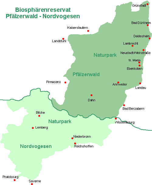 Biosprenreservat Pflzerwald - Nordvogesen