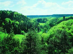 Landschaft im Thringer Wald